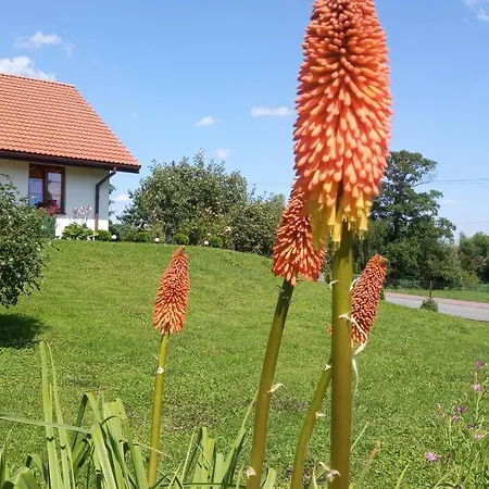 Apartment Dom Na Pagorku Pod Lipa
